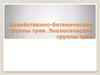 Хозяйственно-ботанические группы трав. Экологические группы трав. Урок 15-16