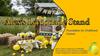 Alex's Lemonade Stand