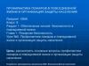 Профилактика пожаров в повседневной жизни и организация защиты населения. Урок №2. 8 класс