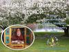 Народные приметы весной