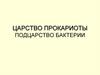 Царство Прокариоты. Подцарство Бактерии
