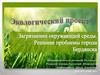Загрязнение окружающей среды. Решение проблемы города Бердянска
