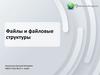 Файлы и файловые структуры