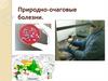 Природно-очаговые болезни