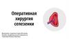 Оперативная хирургия селезенки
