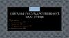 Органы государственной власти РФ. Ветви власти в РФ