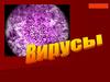 Вирусы. Строение и свойства вирусов
