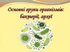 Основні групи організмів: бактерії, археї
