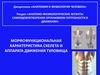 Морфофункциональная характеристика скелета и аппарата движения туловища