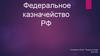 Федеральное казначейство РФ