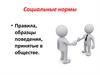 Социальные нормы. Правила, образцы поведения, принятые в обществе