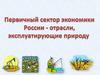 Первичный сектор экономики России - отрасли, эксплуатирующие природу