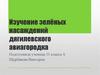 Изучение зелёных насаждений Дягилевского авиагородка