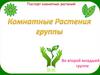 Паспорт комнатных растений