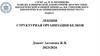Структурная организация белков