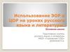 Использование ЭОР и ЦОР на уроках русского языка и литературы