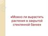 Проект "Можно ли вырастить растения в закрытой стеклянной банке?"