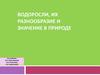 Водоросли, их разнообразие и значение в природе