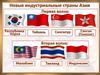Новые индустриальные страны Азии