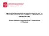 Микробиология парентеральных гепатитов