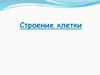 Клетка. Строение клетки