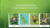 Фундаментальні властивості живого