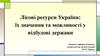 Лісові ресурси України: їх значення та можливості у відбудові держави