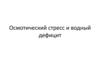 Осмотический стресс и водный дефицит