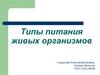 Типы питания живых организмов