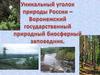 Уникальный уголок природы России - Воронежский государственный природный биосферный заповедник