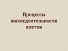 Процессы жизнедеятельности клетки. 5 класс