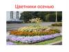 Цветники осенью