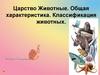 Царство животные. Общая характеристика. Классификация животных