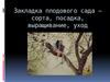Закладка плодового сада – сорта, посадка, выращивание, уход