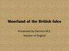 Moorland of the British Isles