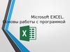 Microsoft EXCEL. Основы работы с программой