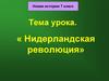 Нидерландская революция. Новая история. 7 класс