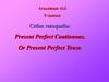 Present Perfect Continuous