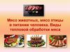 Мясо животных, мясо птицы в питании человека. Виды тепловой обработки мяса