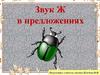 Звук Ж в предложениях