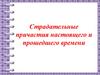 Страдательные причастия настоящего и прошедшего времени