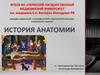 История анатомии