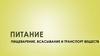 Питание. Пищеварение, всасывание и транспорт веществ
