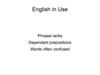 English in Use