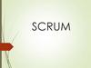 Scrum. Что такое scrum?