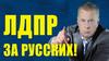 Анализ политического имиджа Владимира Вольфовича Жириновского