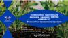 Комерційна пропозиція екіпажу разом з Drone Agroflot. Економічні показники проекту