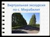 Виртуальная экскурсия по с. Мирабилит