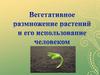 Вегетативное размножение растений и его использование человеком