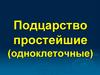 Подцарство простейшие (одноклеточные)